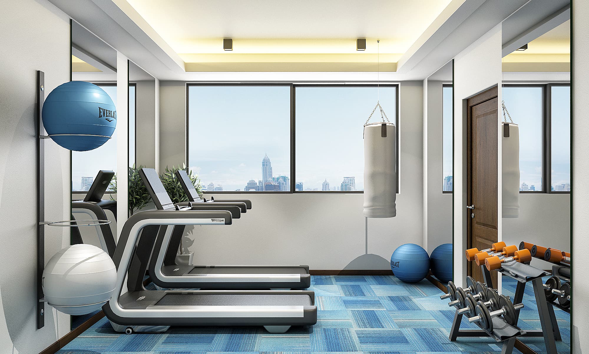 Classic 1 Amenity, Gym
